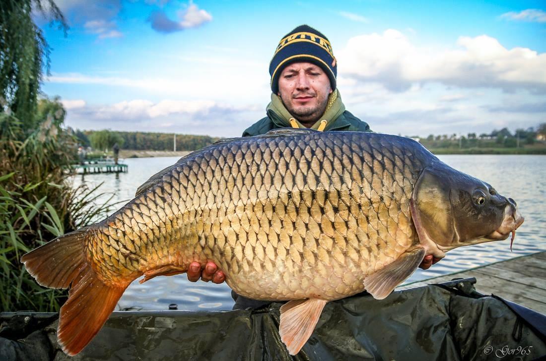 Forumul Crapmania.ro, inclus in lista de la iLikeIT, ProTV, cu cele mai mari forumuri romanesti.